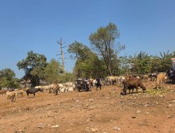 TPA Tamangapa Kini Jadi Kawasan Modern Berbasis Sanitary Landfill dan Bebas Bau Menyengat