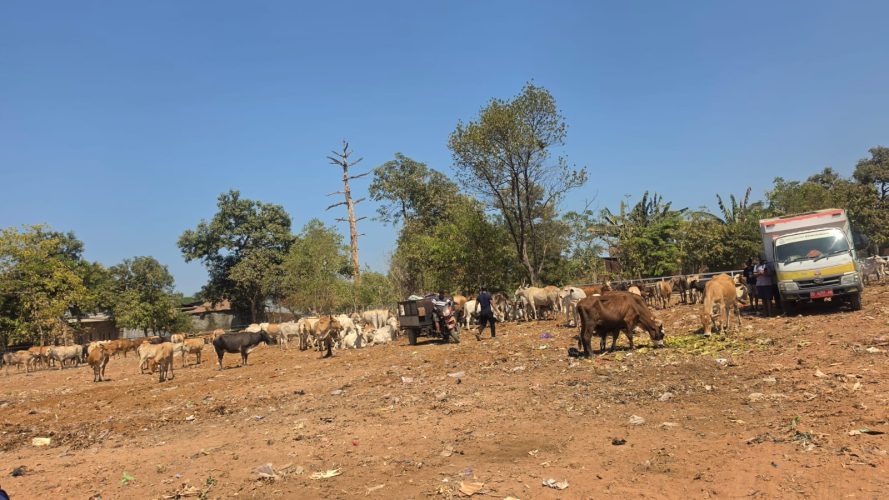TPA Tamangapa Kini Jadi Kawasan Modern Berbasis Sanitary Landfill dan Bebas Bau Menyengat